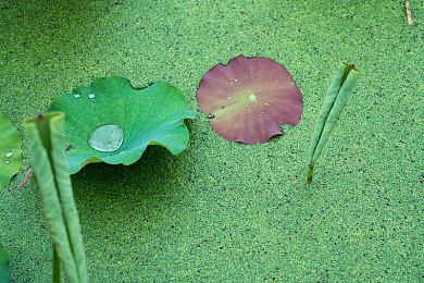 仅需49.5元！水墨风动作Rogue游戏《墨境》将于9月27日发售！